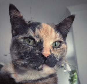 Meet your Posher, Catherine